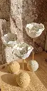 20260305_153224.webp
