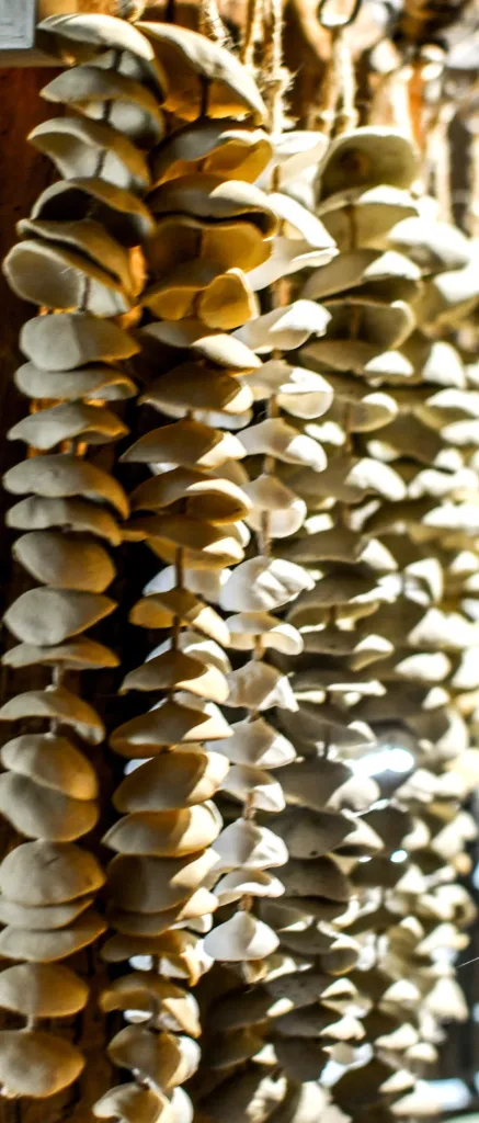carillon (2).webp