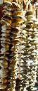 carillon (2).webp